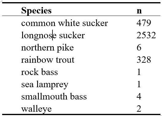 Table showing species caught, values are 479 common white sucker, 2532 longnose sucker, 6 northern pike, 328 rainbow trout, 1 rock bass, 1 sea lamprey, 4 smallmouth bass, 2 walleye