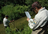 Stream Analysis During Lampricide Treatment