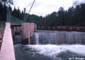 Brule Barrier and Fish Ladder