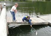 Boys Reaching for Fish with Net