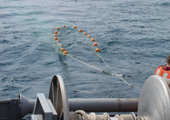 Prey Survey Trawl Net