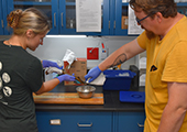 Sea Lamprey Research